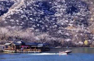 微信圖片_20210317083545-300x197.jpg